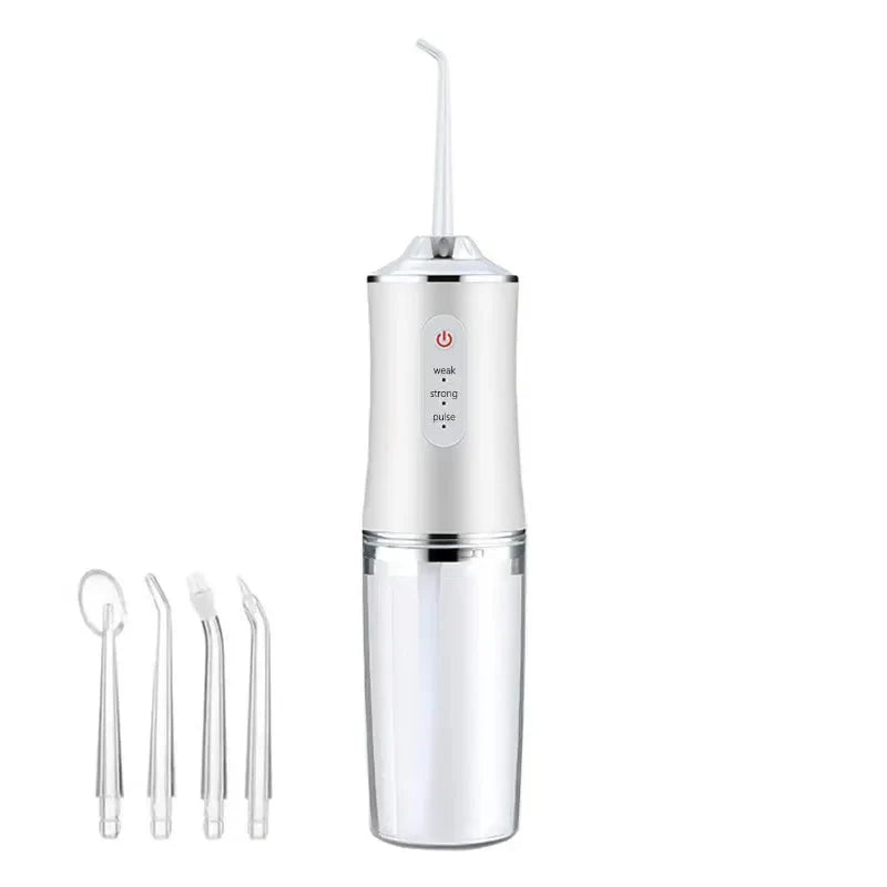Water Flosser for Travel with Four Replacement Cleaning Heads