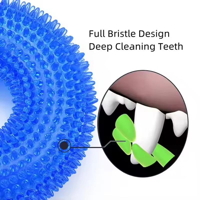 Textured Chew Ring for Dogs with Squeaker and Thorn-Like Surface