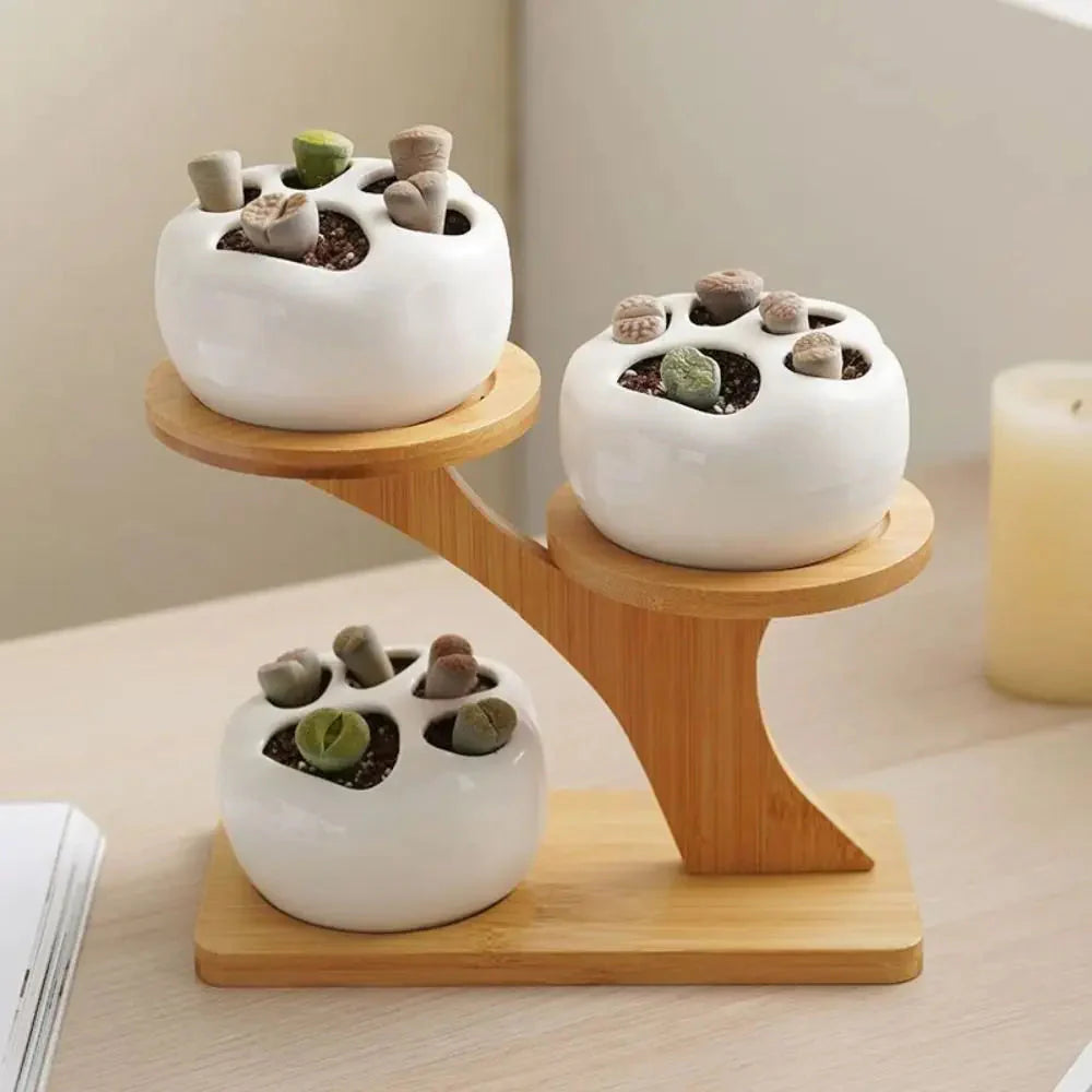 Multi-tier Bamboo Shelf – Z-Shape or Y-Shape Design