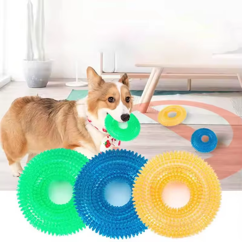 Textured Chew Ring for Dogs with Squeaker and Thorn-Like Surface