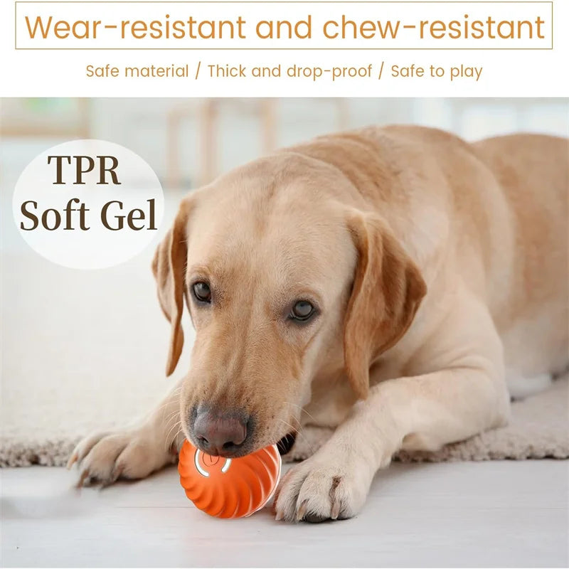 PetJoy Sphere – Engaging Smart Toy for Cats and Dogs