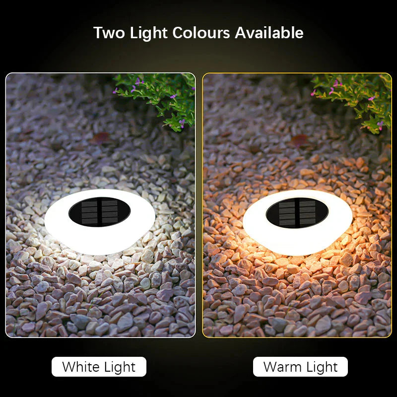 Set of 4 Solar Landscape Lights – 14 LEDs with 360-Degree Illumination