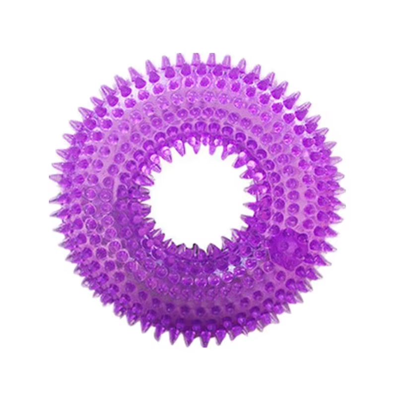 Textured Chew Ring for Dogs with Squeaker and Thorn-Like Surface
