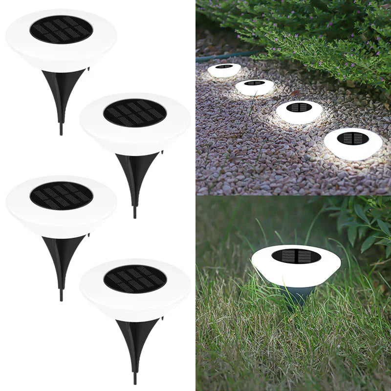 Set of 4 Solar Landscape Lights – 14 LEDs with 360-Degree Illumination