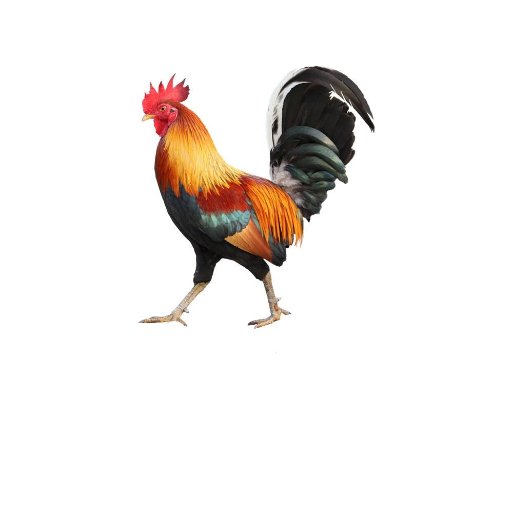 Acrylic Rooster Garden Statue – Durable Outdoor Decor