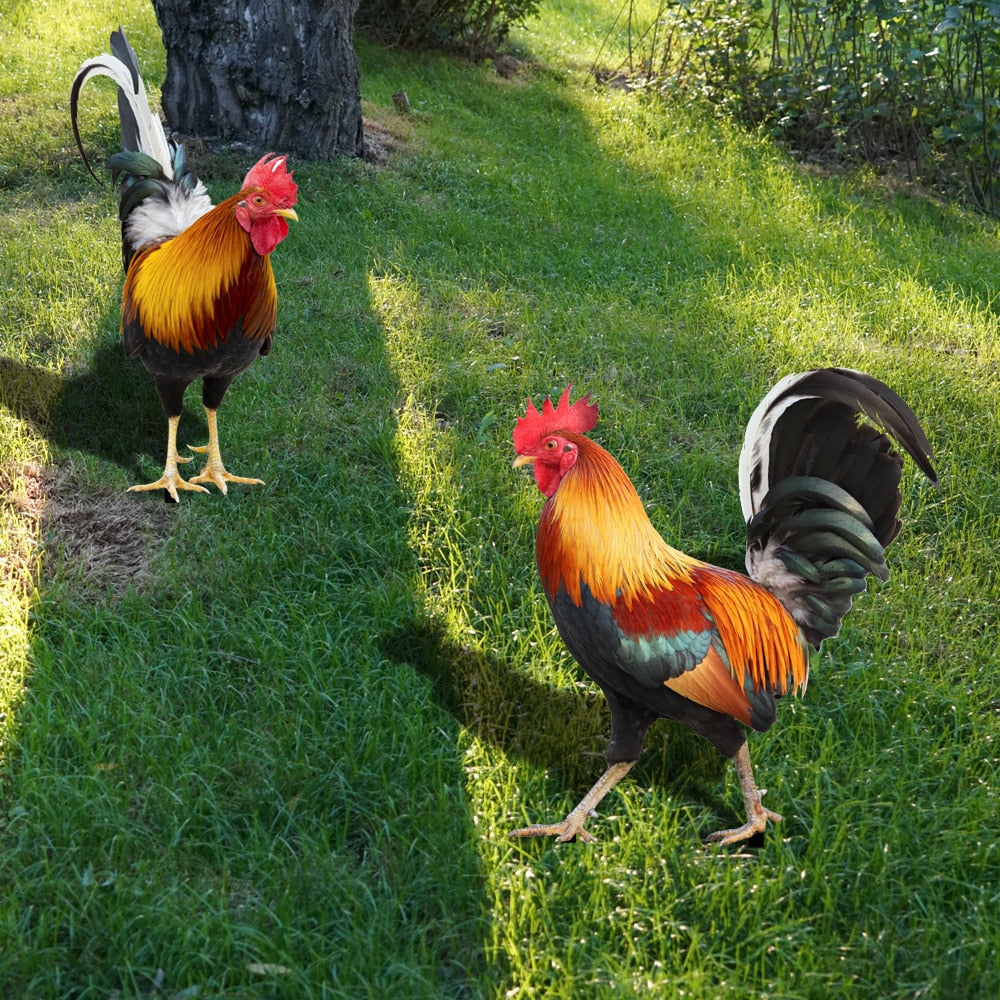 Acrylic Rooster Garden Statue – Durable Outdoor Decor