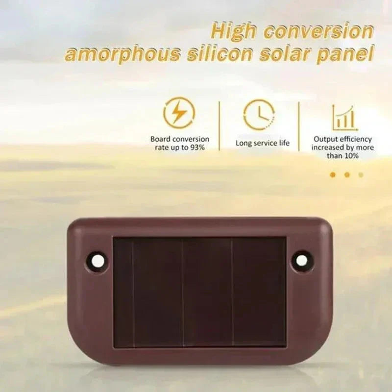 Set of 8 Solar Pathway Lights – Bright and Safe Outdoor Lighting