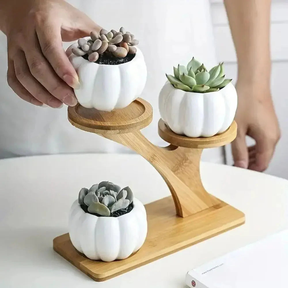 Multi-tier Bamboo Shelf – Z-Shape or Y-Shape Design