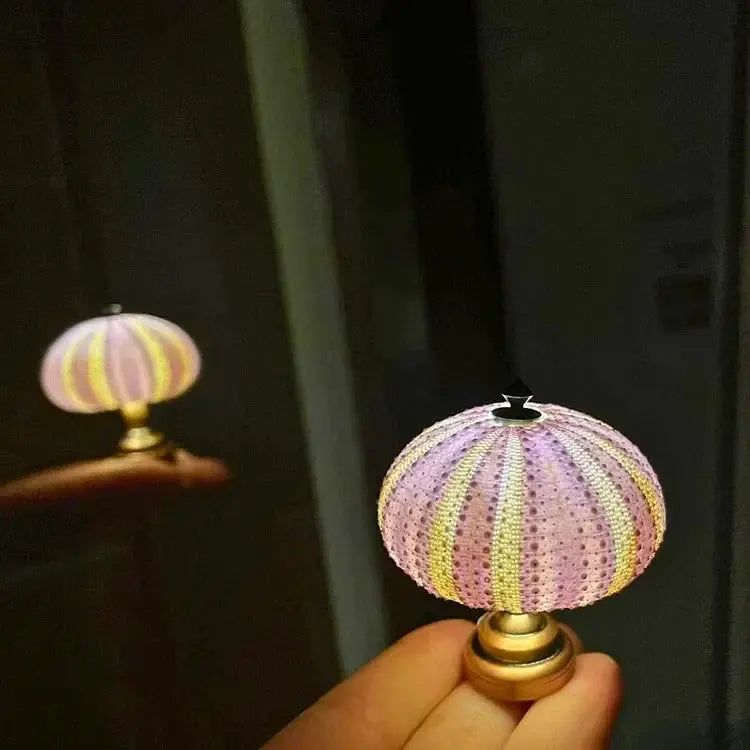 Night Light Featuring Sea Urchin Design with Soft Ambient Glow
