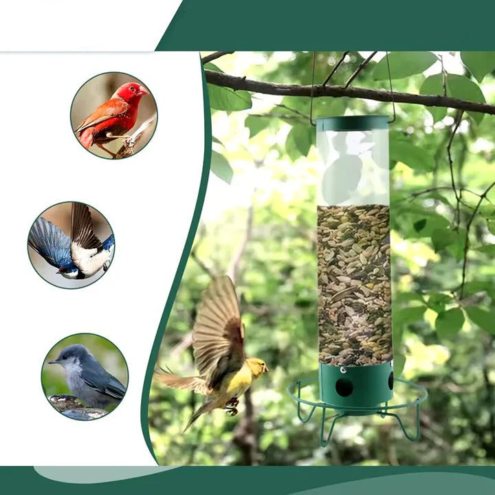 Heavy-Duty Bird Feeder with Metal Cage for Predator Protection