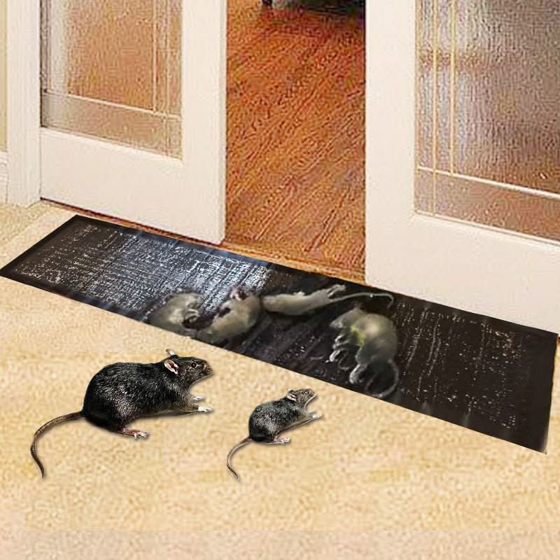 Set of 10 Large Adhesive Traps for Mice, Rats, and Insects