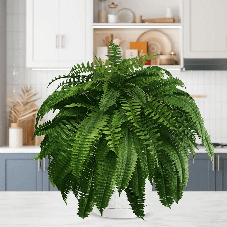 UV-Proof Outdoor Foliage for Enduring Aesthetic Appeal