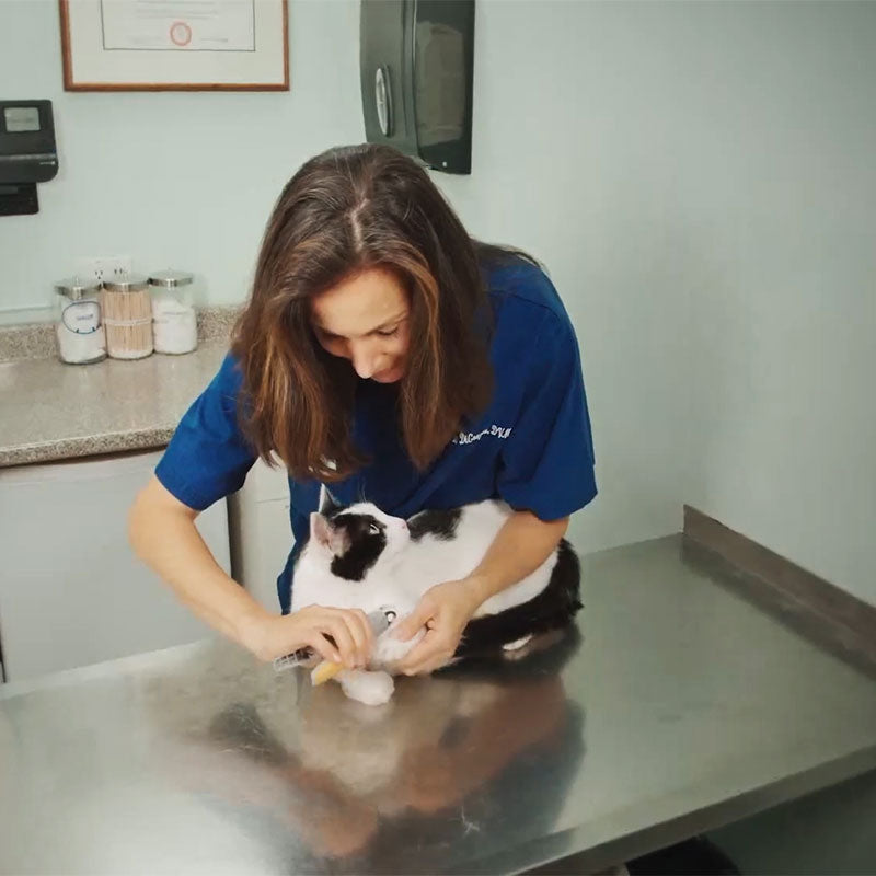 Claw Trimmer for Cats and Dogs with Safety Guard - Nail Clippers