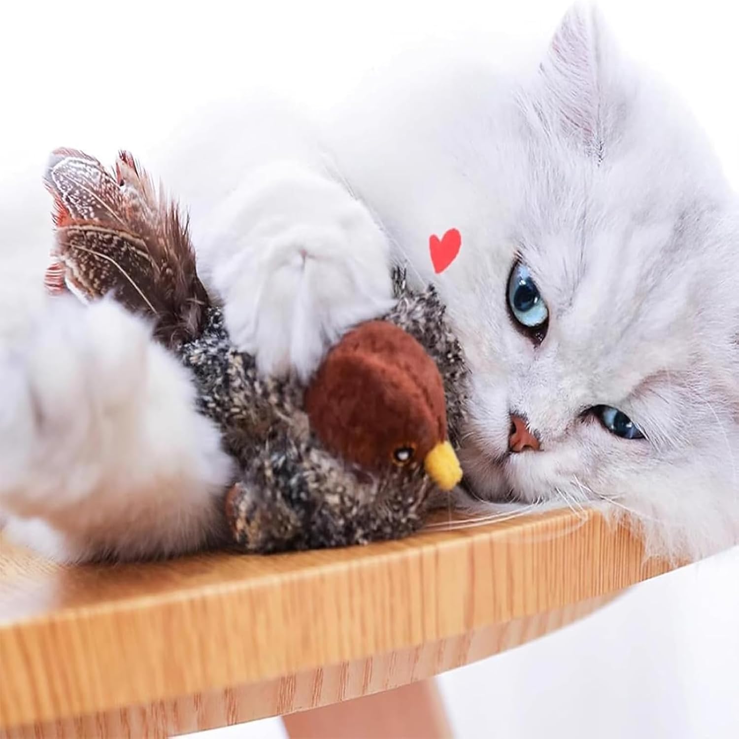 Unleash the Wild Hunt and Endless Play for Your Cat