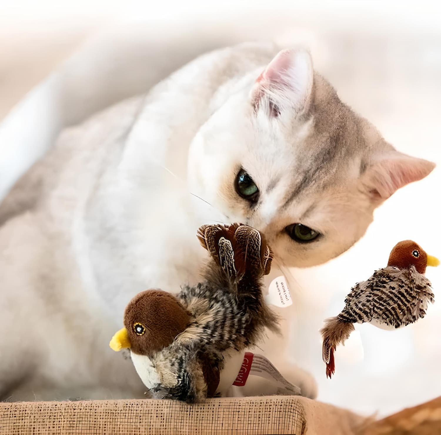 Unleash the Wild Hunt and Endless Play for Your Cat