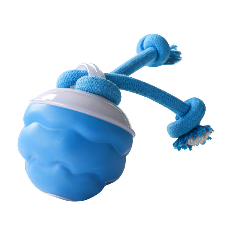 Sound-Activated LED Electronic Toy for Dogs