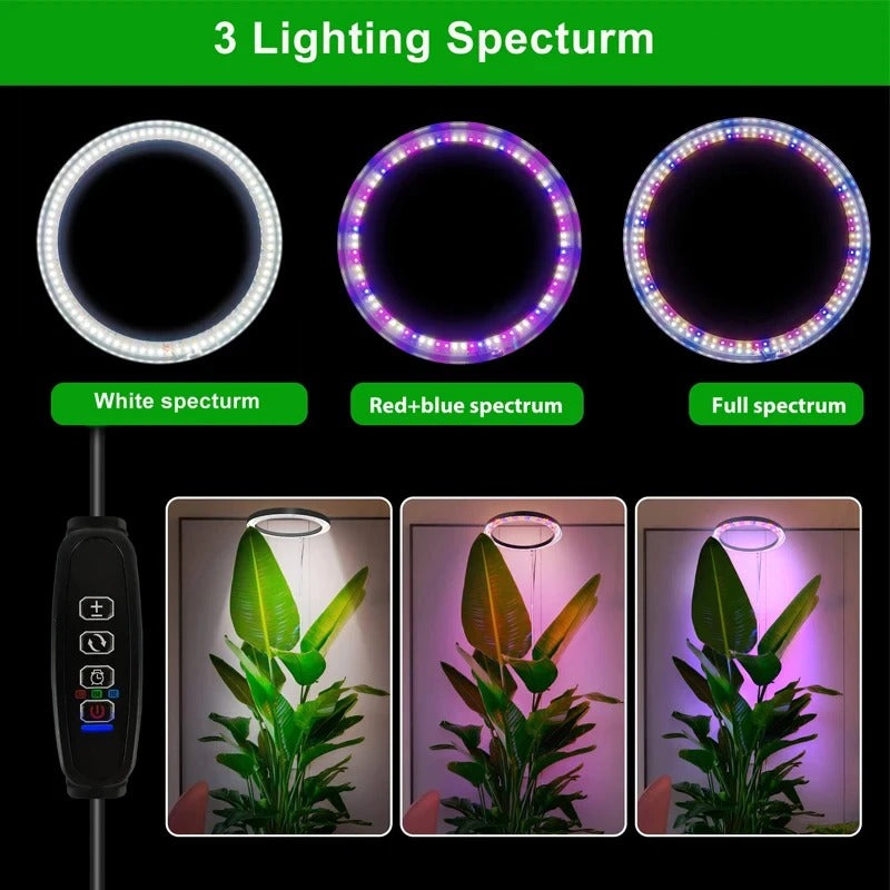 LED Ring Light for Indoor Plants with Adjustable Stand and Timer