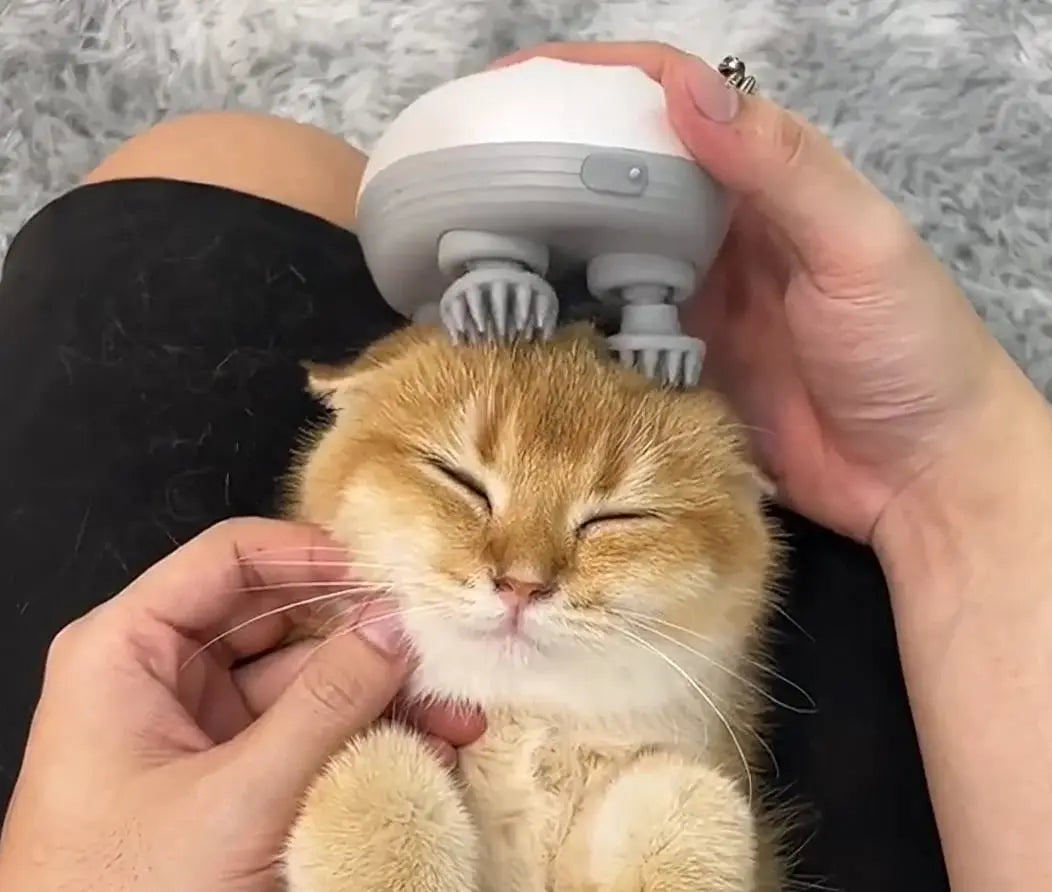 PurrEase – Relaxation Your Cat Will Love!