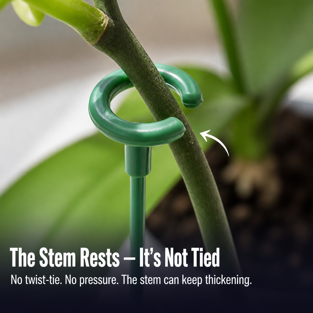 PrismBloom™ — Spot Your Orchid Spike Before It Breaks in Half