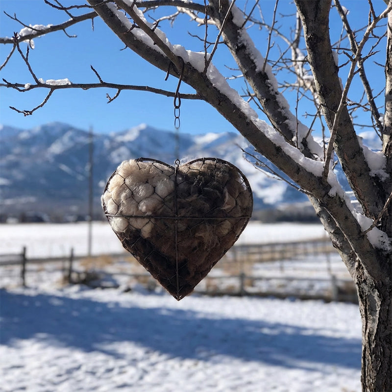 Heart-Shaped Iron Bird Nesting Material Holder with Hanging Chain