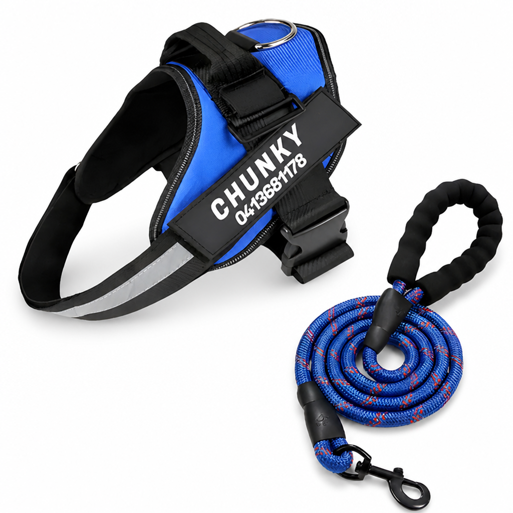 Adjustable No-Pull Front-Clip Dog Harness (Custom Engraving)