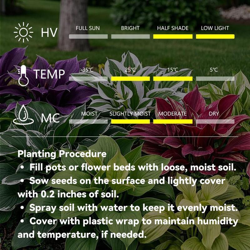 ShadeBloom™ — Transform Shadowy Spots into Lush, Colorful Garden Sanctuaries