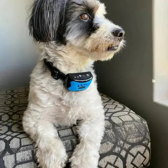 Anti-Bark Collar with Gentle Vibration and Sound Training