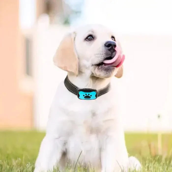 Anti-Bark Collar with Gentle Vibration and Sound Training