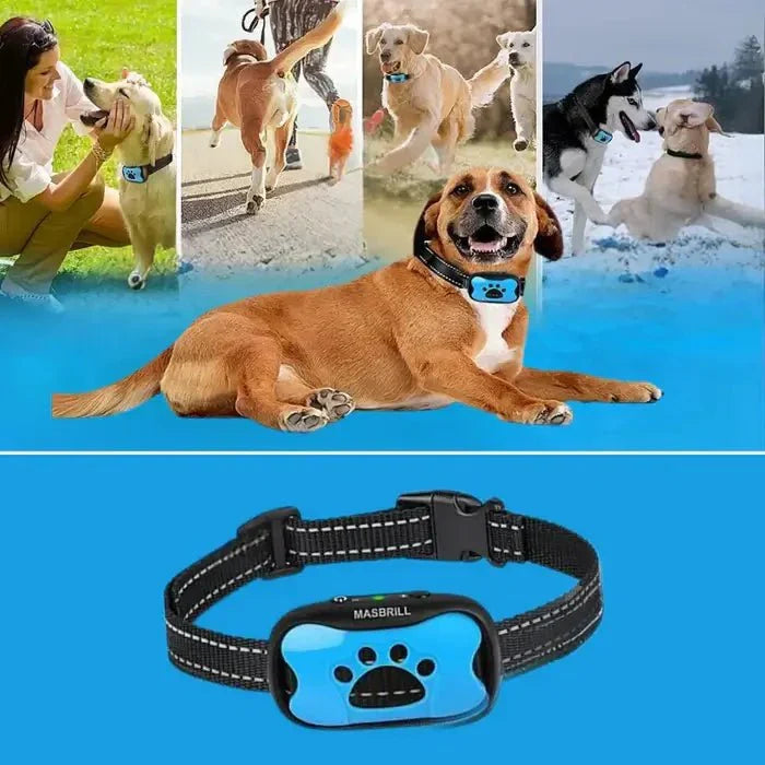 Anti-Bark Collar with Gentle Vibration and Sound Training