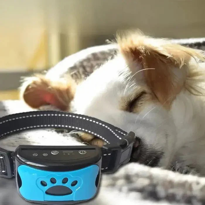 Anti-Bark Collar with Gentle Vibration and Sound Training