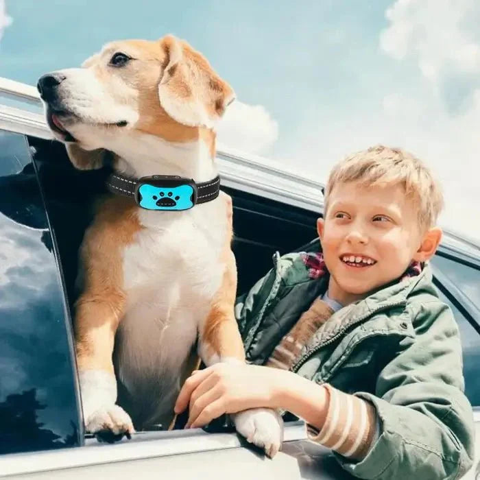 Anti-Bark Collar with Gentle Vibration and Sound Training