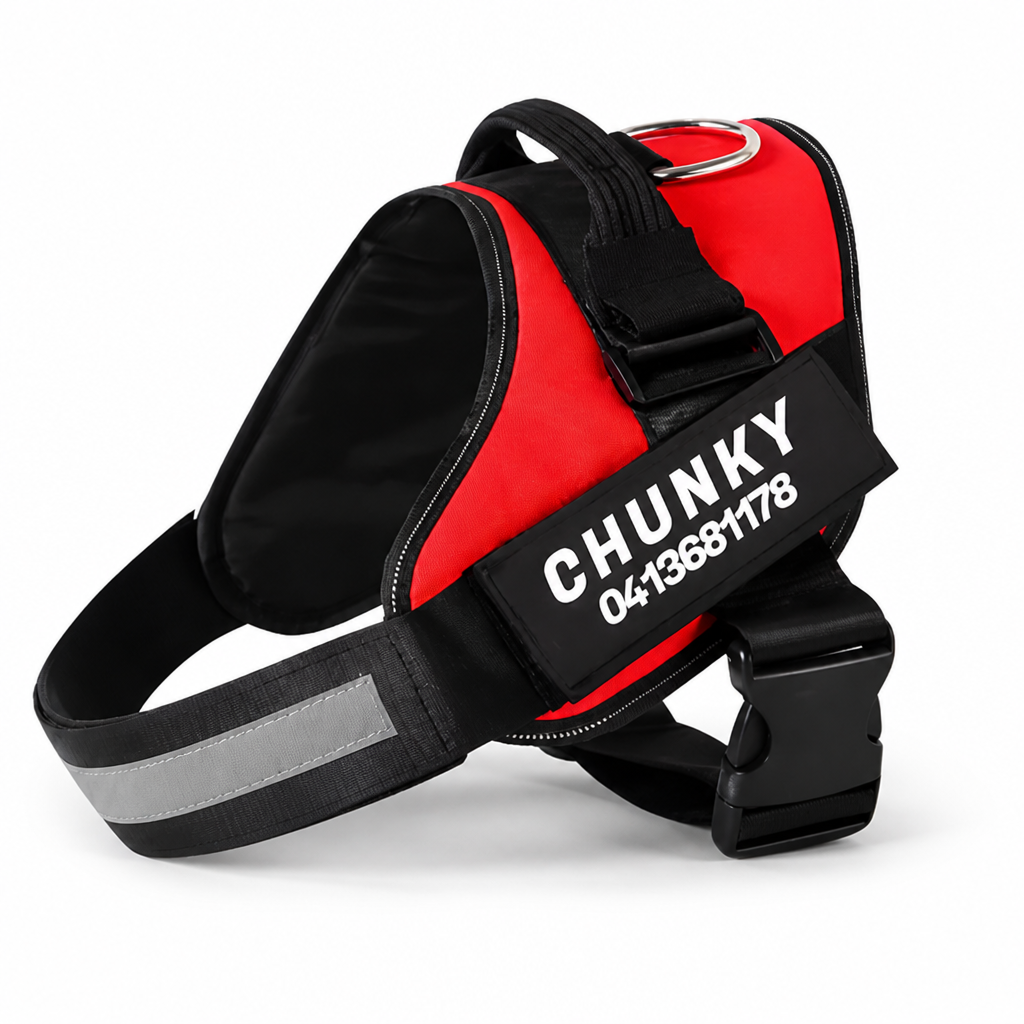Adjustable No-Pull Front-Clip Dog Harness (Custom Engraving)