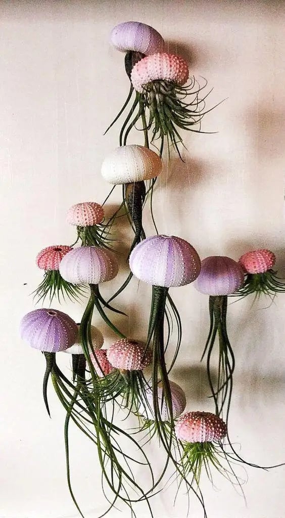 AuraShell™ — Bring Effortless Coastal Calm and Living Ocean Beauty to Your Space
