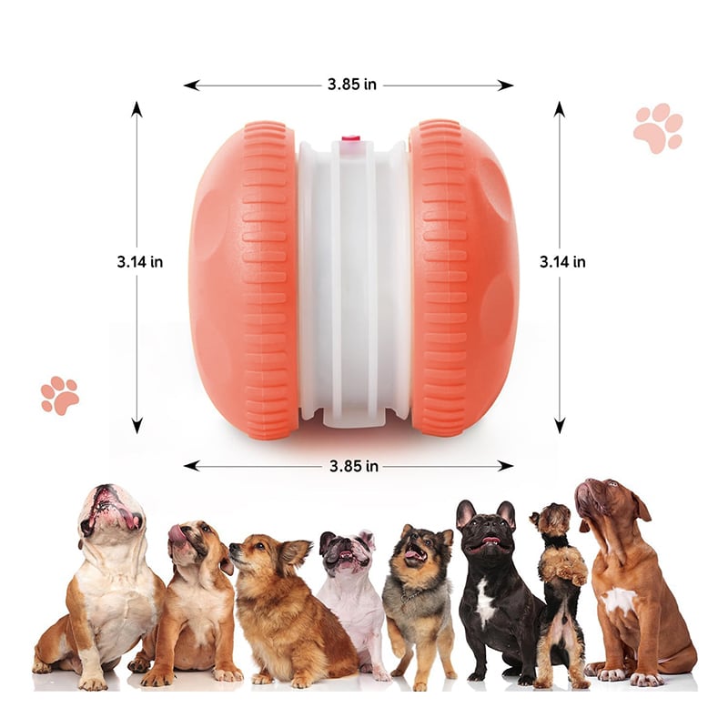 Motion-Activated Dog Toy with Dual Speed Settings