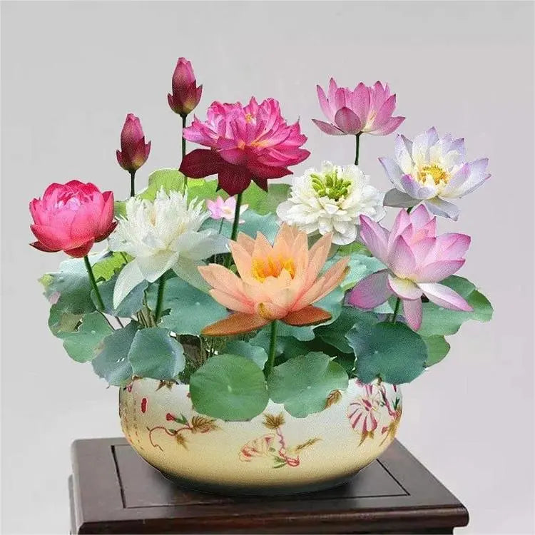 MysticLuxe™ — Transform Your Pond into a Blooming Oasis of Serenity and Color