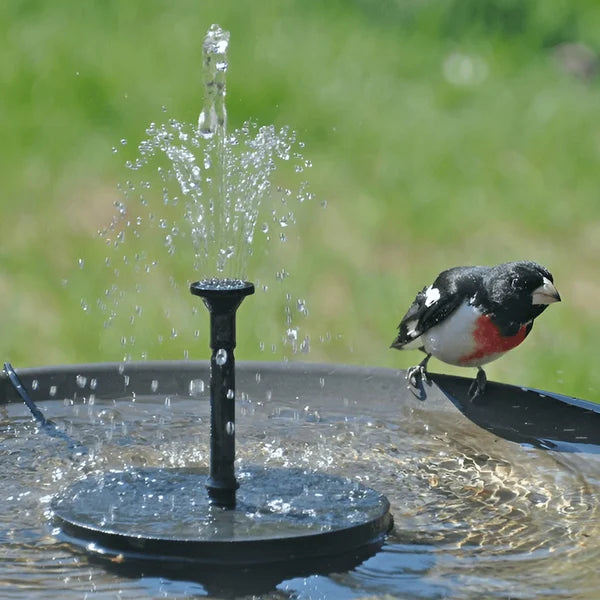Garden and Pond Solar Fountain with Four Different Nozzles