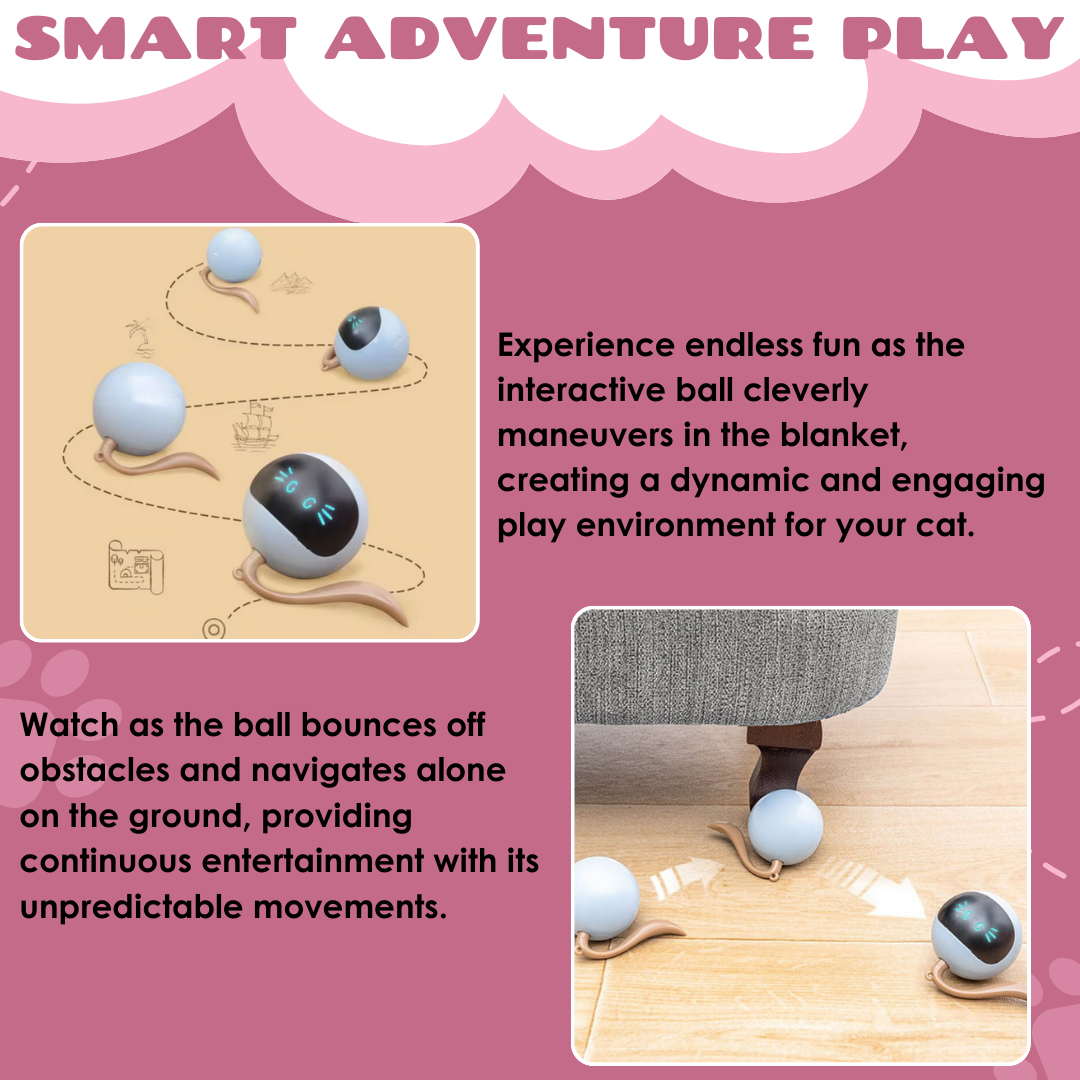 ProwlPulse™ — Unleash Your Cat’s Wild Instincts and Boundless Joy