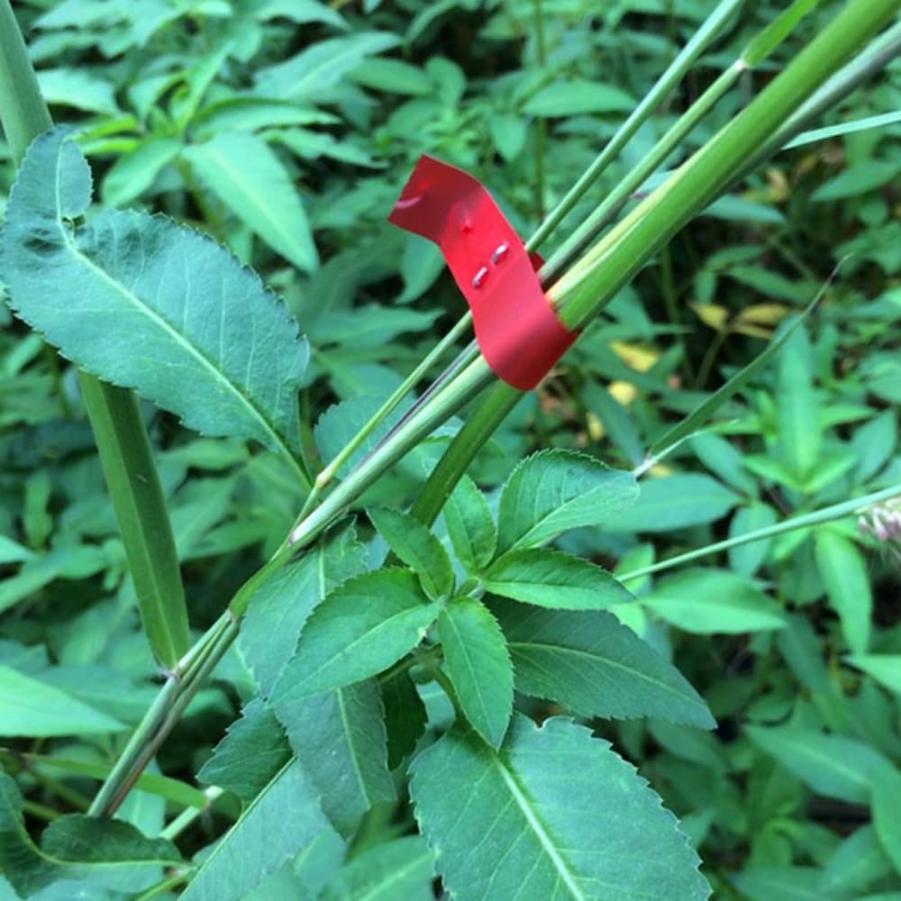 Garden Binding Wire Tool for Plant Tying and Care