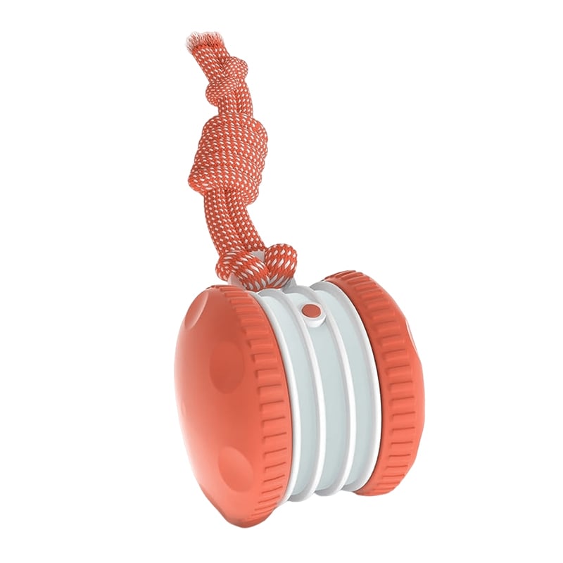 Motion-Activated Dog Toy with Dual Speed Settings