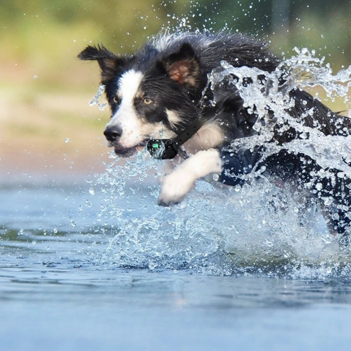 Remote-Controlled Waterproof Dog Training Collar – 3 Training Modes