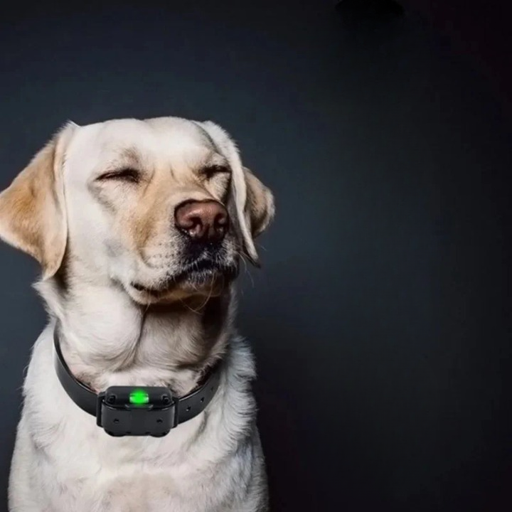 Remote-Controlled Waterproof Dog Training Collar – 3 Training Modes