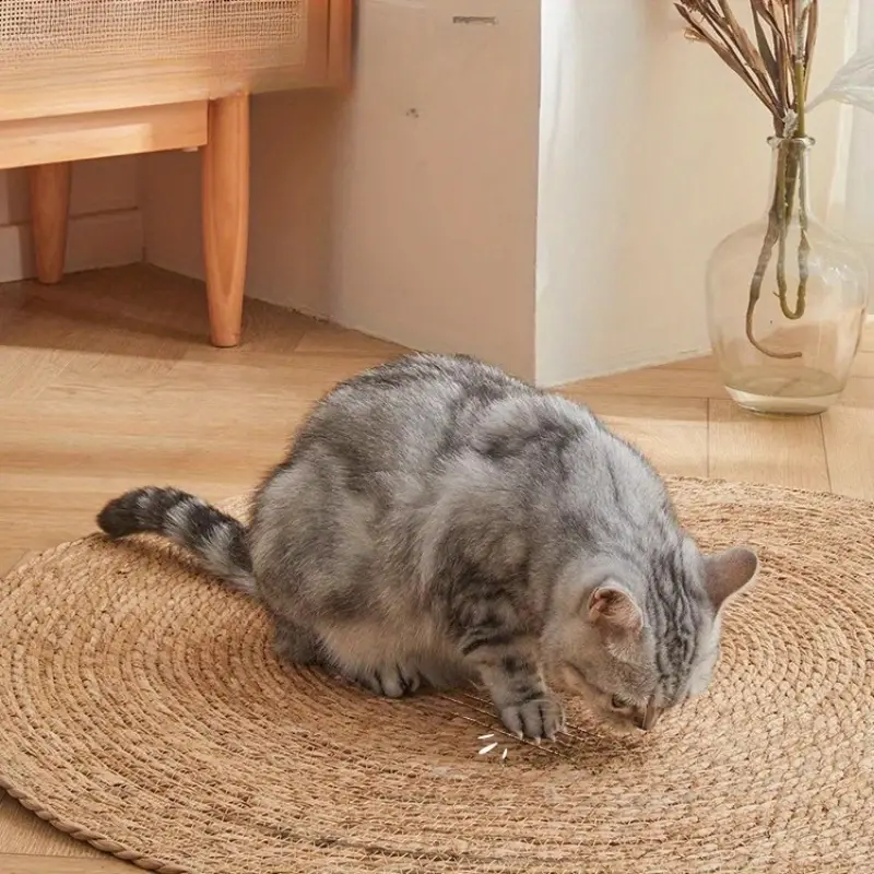 Natural and Durable Jute Cat Scratching Mat - Braided Design