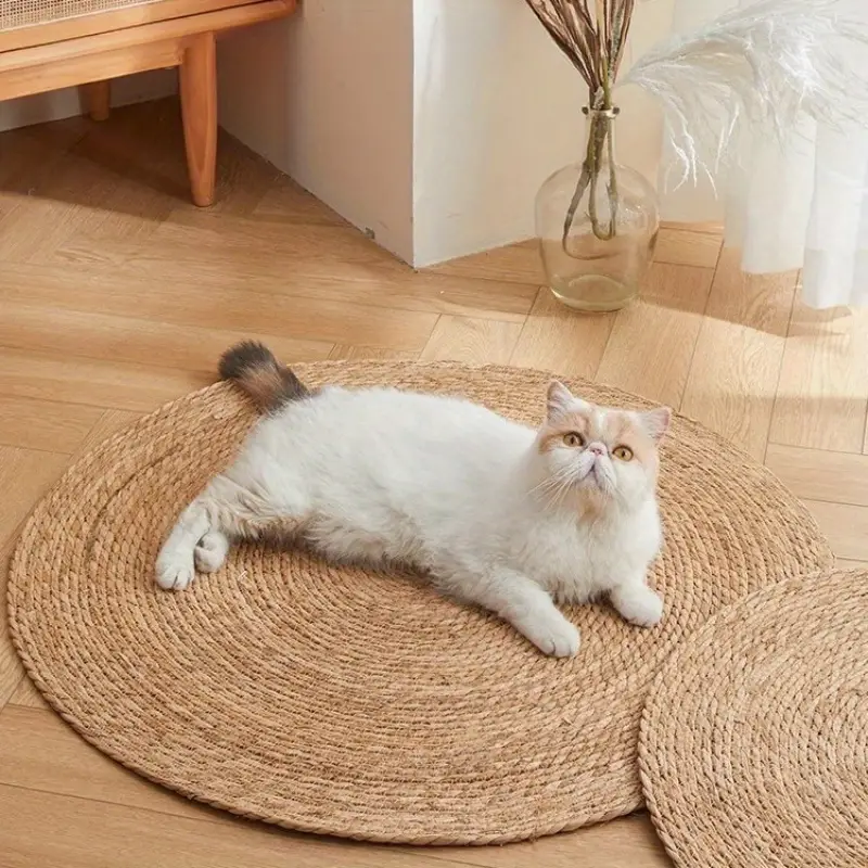 Natural and Durable Jute Cat Scratching Mat - Braided Design