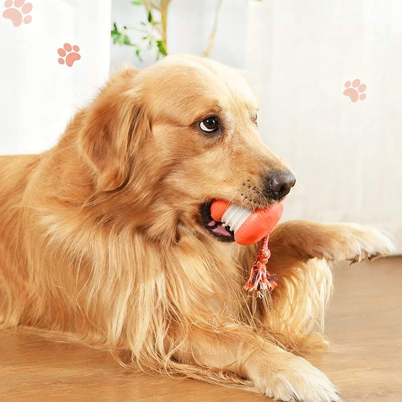 Motion-Activated Dog Toy with Dual Speed Settings