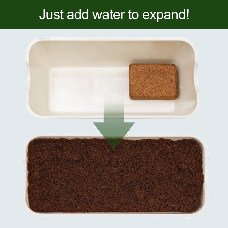EverGrow Thrive™ — Ignite Explosive Growth with Lush, Breathable Soil That Nourishes Every Root
