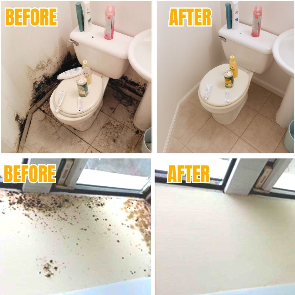 MoldVanish™ — Effortless Mold Erasure for a Healthy, Fresh Home You’ll Love