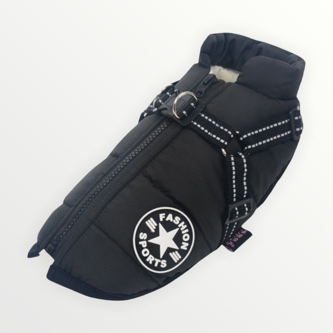 ThunderStride™ — Wrap Your Dog in Instant Warmth and Effortless Control Every Walk