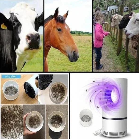UV Light and Fan Electric Insect Catcher Trap