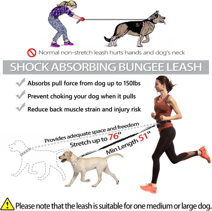 Bungee Dog Leash for Hands-Free Use – Reflective Waist Strap for Running, Hiking, and Walking