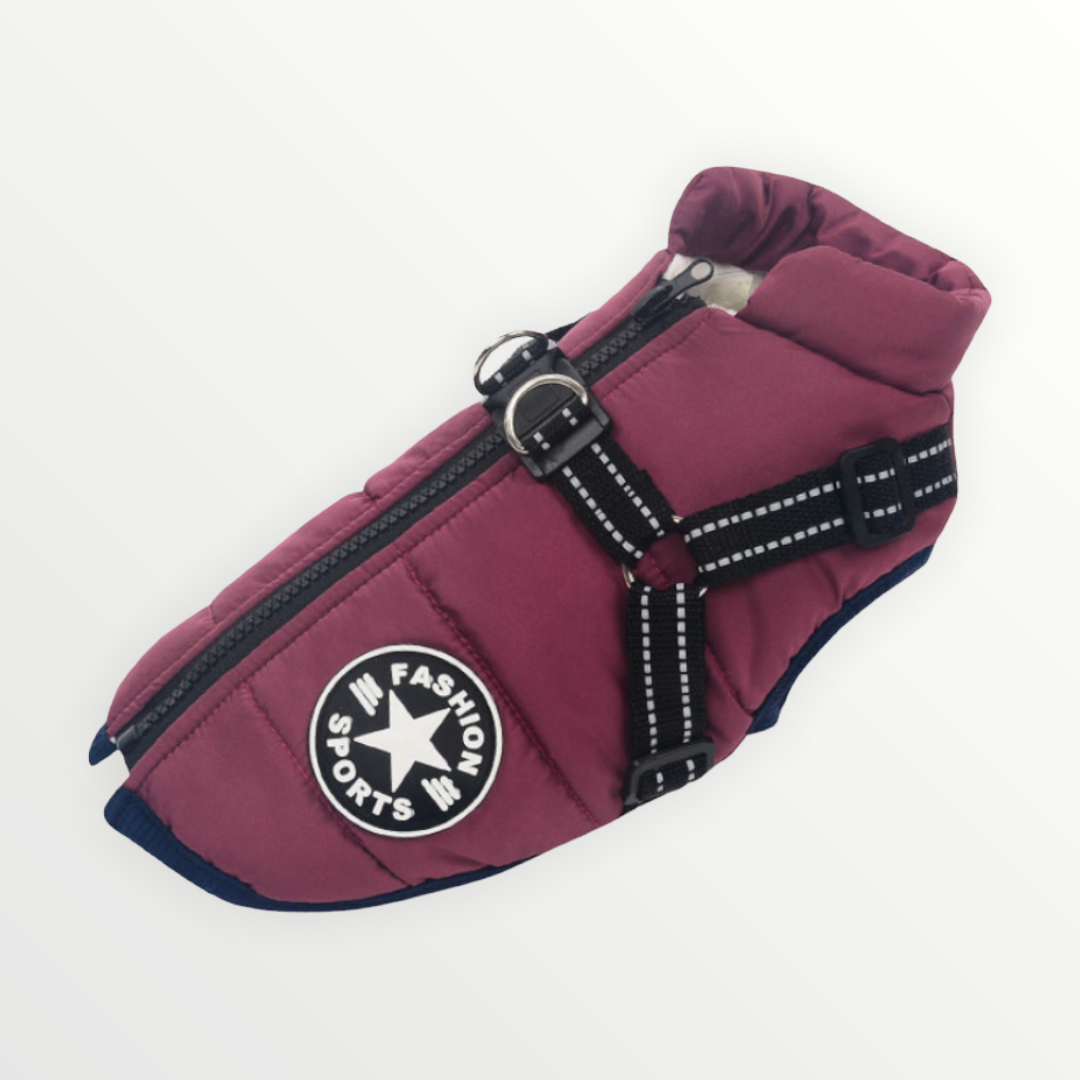 ThunderStride™ — Wrap Your Dog in Instant Warmth and Effortless Control Every Walk